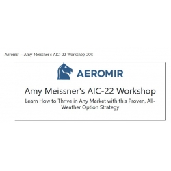 Aeromir - Amy Meissner's AIC-22 Workshop  